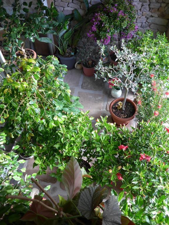 Au Palton Bed & Breakfast Raon-aux-Bois Luaran gambar
