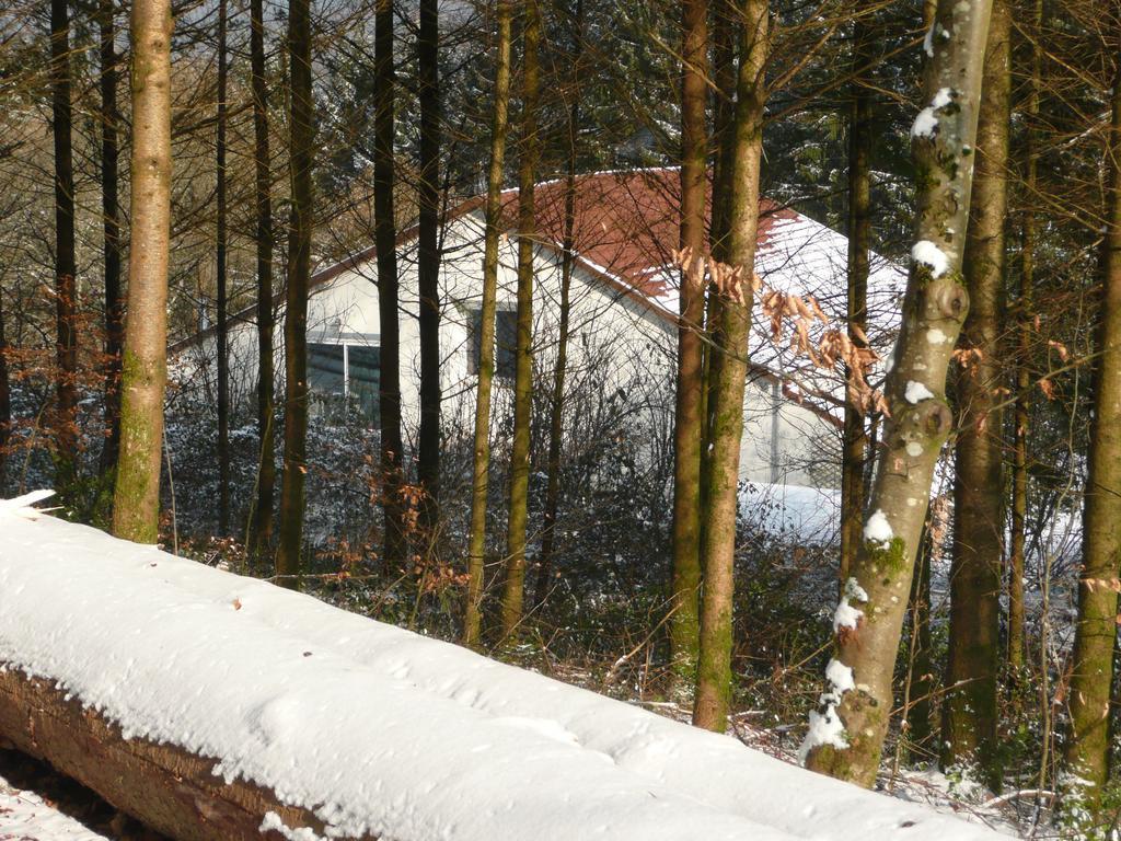 Au Palton Bed & Breakfast Raon-aux-Bois Luaran gambar