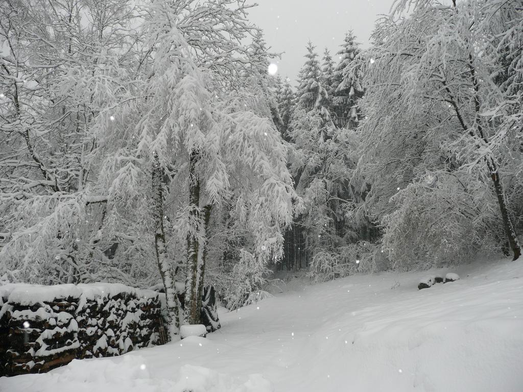 Au Palton Bed & Breakfast Raon-aux-Bois Luaran gambar